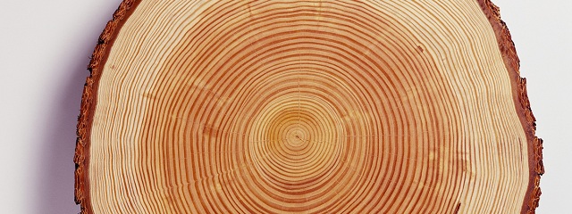 Каталог материалов Породы древесины лиственница сибирская